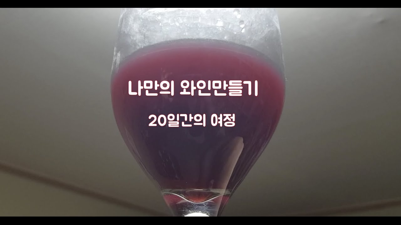  20 Making My Own Wine 20 Days Journey YouTube