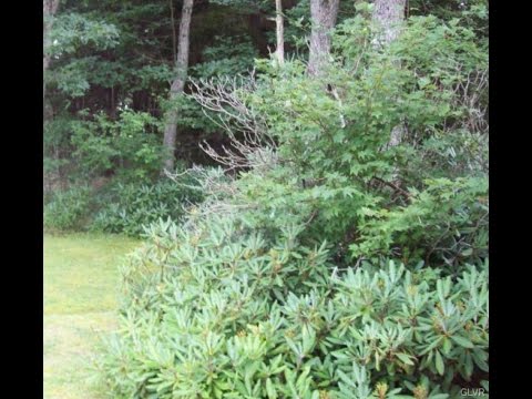 198 Mountain View Drive, Penn Forest Township, PA home video tour