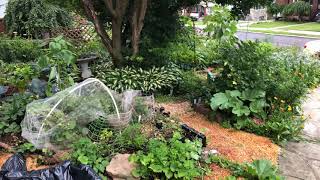A quick stroll through the Mandala garden