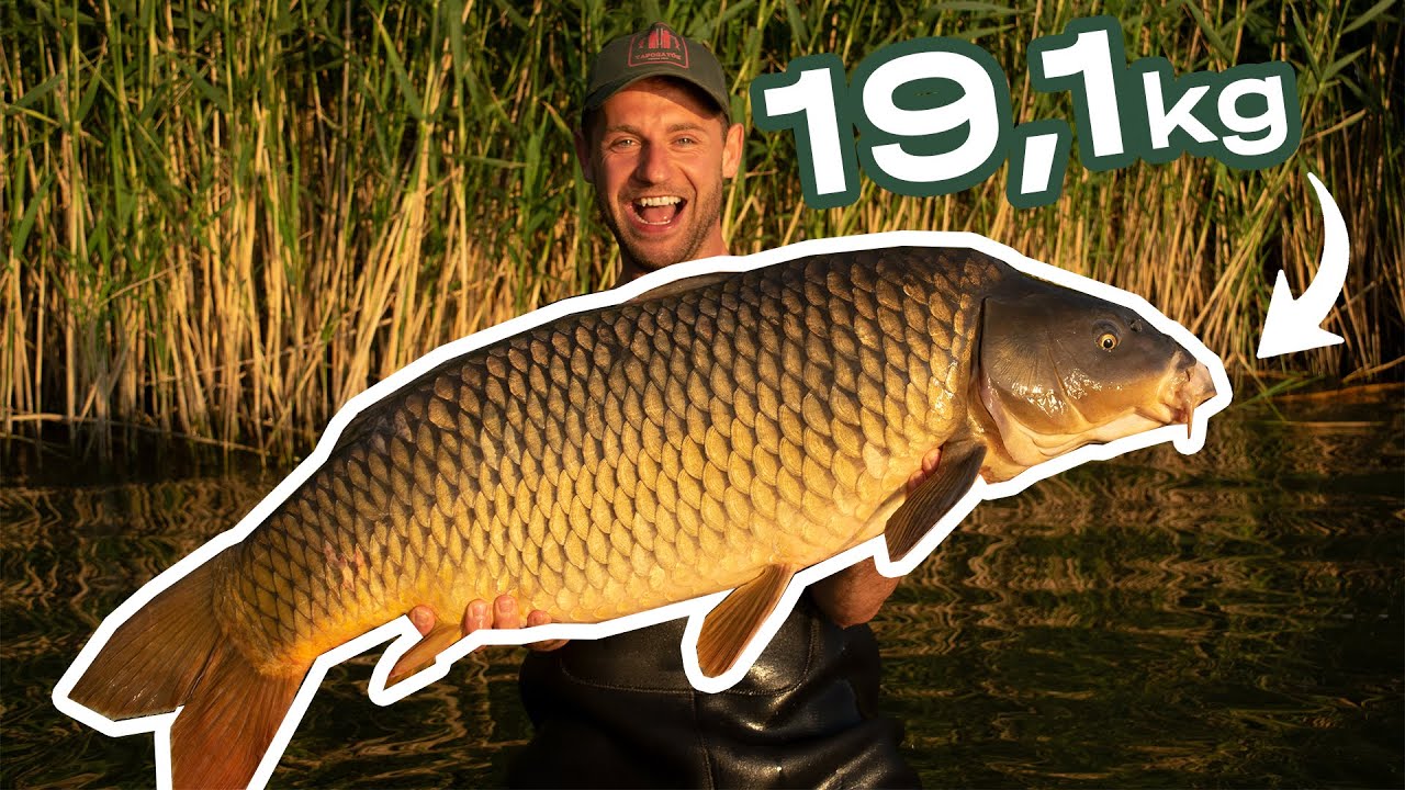 Palotási pontyok - A 30-ak csatája