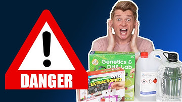 How to Extract DNA from Fruit at Home [2022]