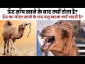 Why Camel Eat Snake? ऊँट के बारे में ये बातें आप नहीं जानते होंगे | T-i