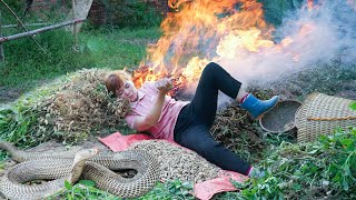 Bad Day For Father And Daughter - Harvesting Peanuts on the Farm, Bad When Snakes Attack