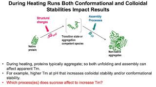 Mechanisms Protein presentation Prof. John Carpenter 2021