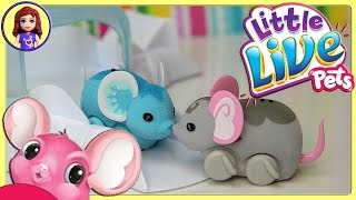 Little Live Pets Lil' Mouse House Trail two Mice Chatter Smooch Unboxing Review Play  Kids Toys