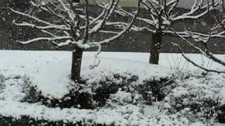 20100317_34.AVI
