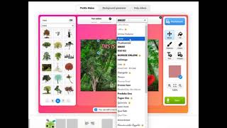 picmix tutorial for friend