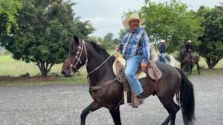 San Antonio de Rivas 7 de junio de 2026