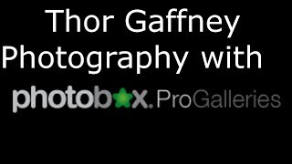 Thor Gaffney Gothic Photography with Photoboxgallery.com screenshot 2