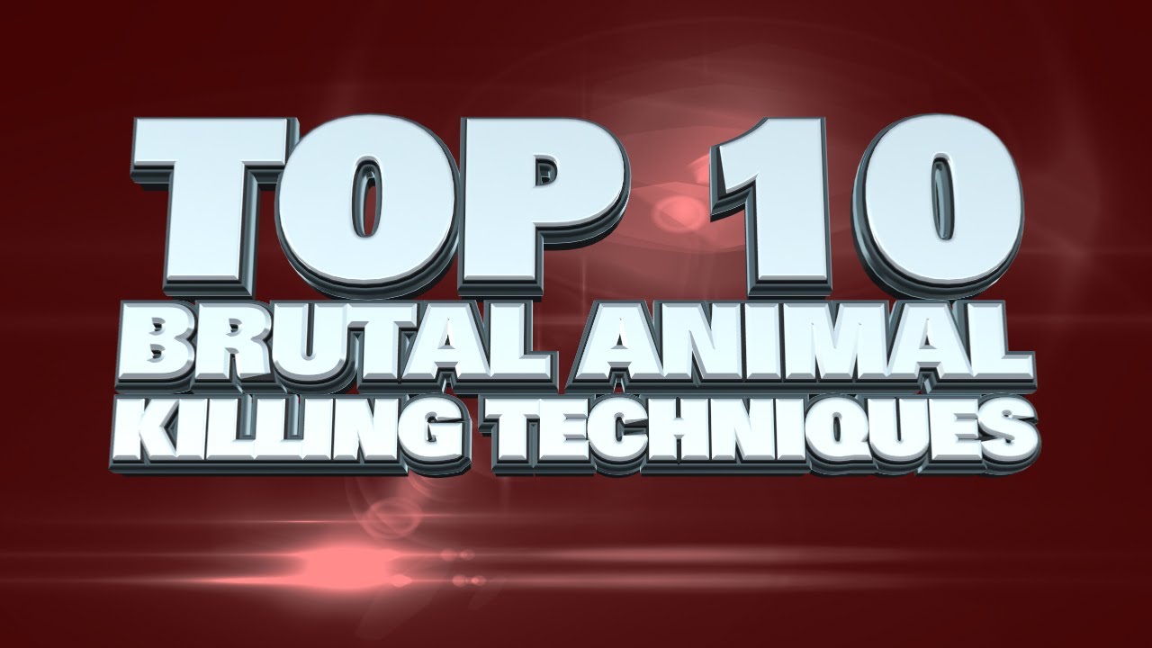Top 10 Brutal Ways An Animal Can Kill You