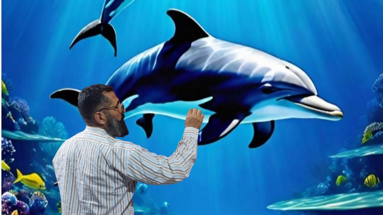 تعلم رسم المناظر طبيعيه رسم دلافين تحت البحر بشكل مذهش