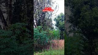 Dalam Kondisi Apapun Akan Sedih Kalau Dipandang Rendah  shorts quotes motivation sedih