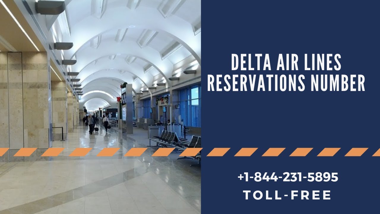 delta checked bolsagage cost