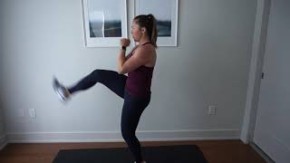 Alternating Front Kicks