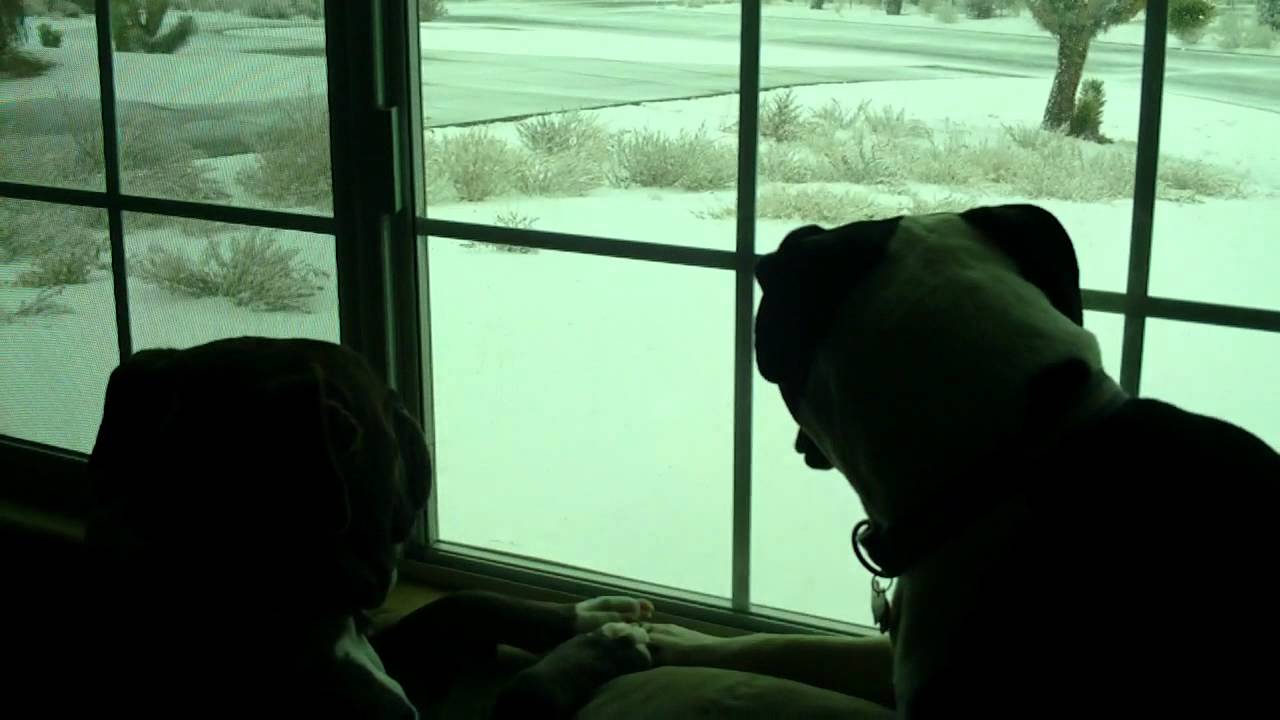 Billy Jack & Kellie LeBelle holding hands & enjoying the snowfall