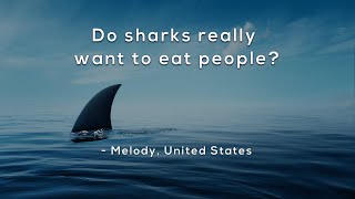 Do sharks really want to eat people?