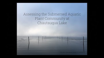 Point Intercept Survey Methods for Aquatic Plant Management
