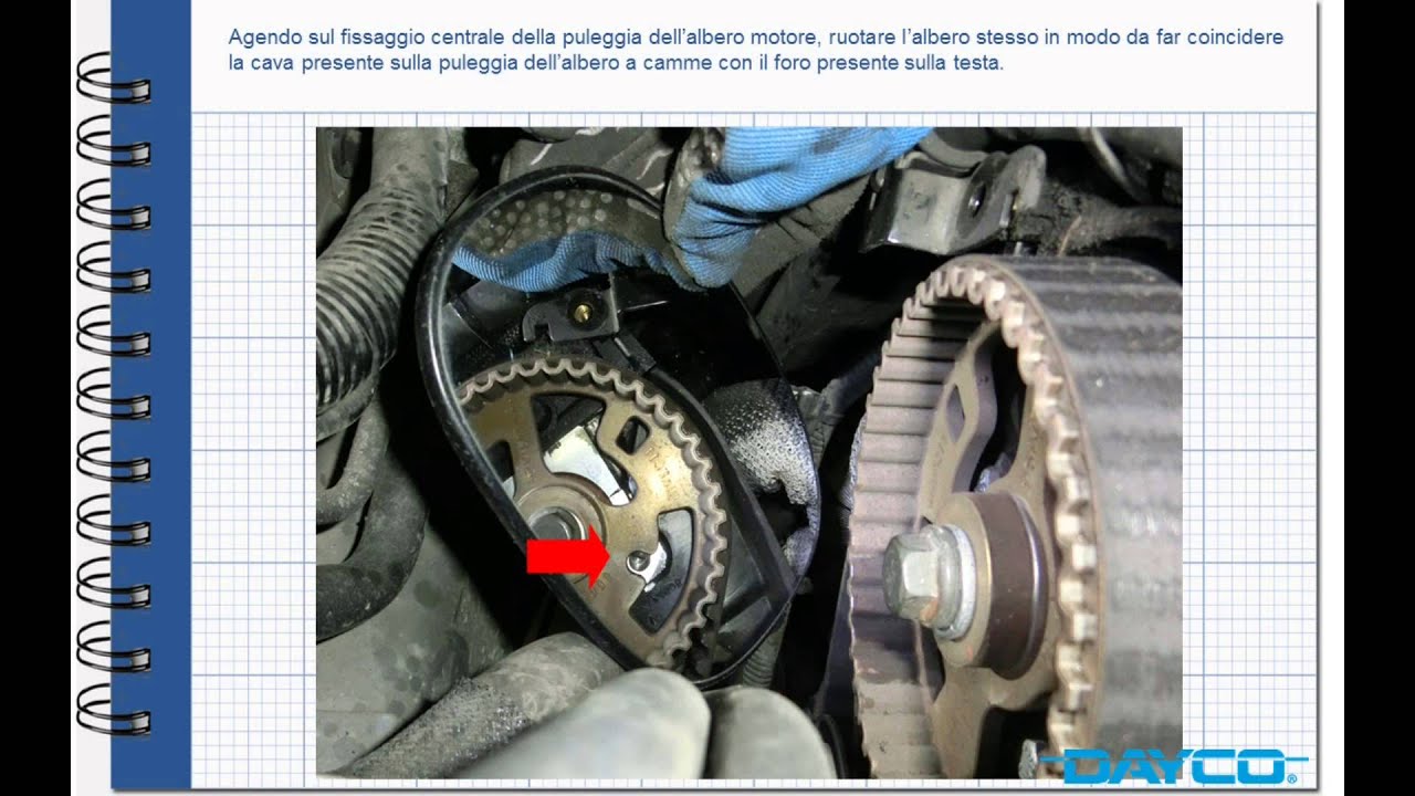 Montaggio Kit Distribuzione Land Rover Free Lander Ii 2 2 Td4 - Motore 224dt