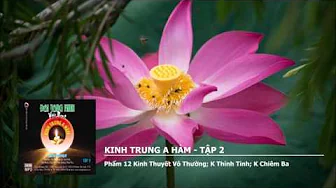 Tập 2 – Phẩm 12 K.Thuyết Vô Thường – K Thỉnh Tỉnh – K Chiêm Ba 