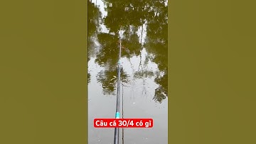 Đang câu cá ngày 30/4 gặp ngay 3 chiếc máy bay chuồn chuồn #fishing #fish #carpfishing #fishinglife