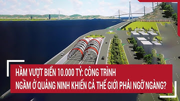 Hầm vượt biển 10.000 tỷ: Công trình ngầm ở Quảng Ninh khiến cả thế giới phải ngỡ ngàng?