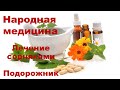 Лечение подорожником Рецепты