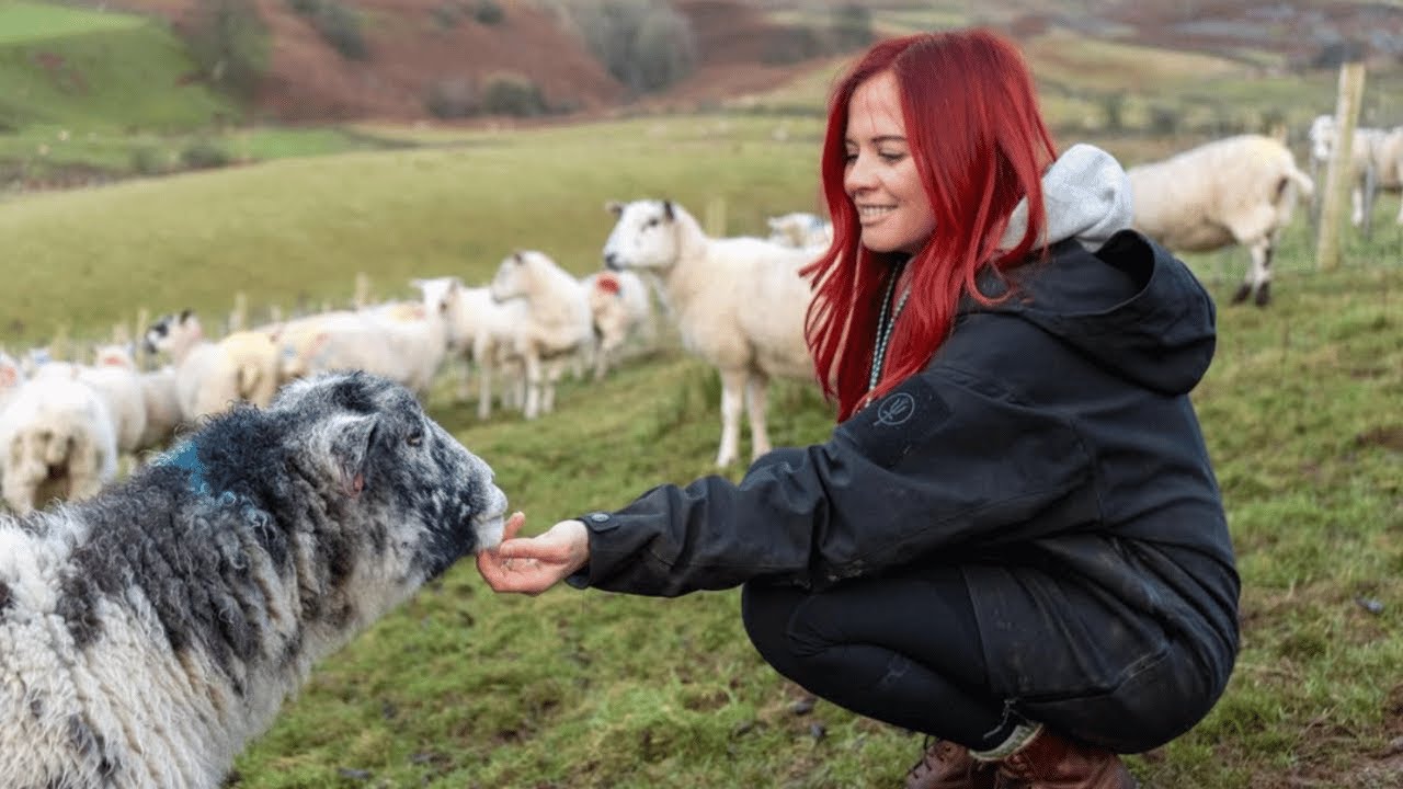 A Day In The Life: Lambing Time