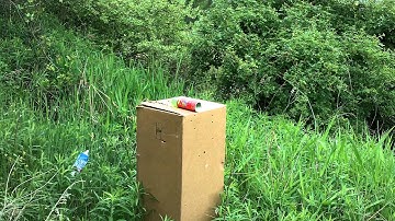 Remington 870 12ga shotgun vs can of silly string