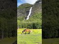 Escape to Skjolden, Norway 🇳🇴🌳