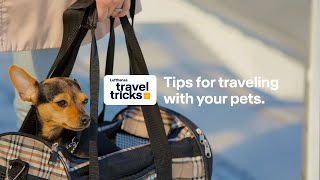 Tips for traveling with your pets | traveltricks with Lufthansa| Lufthansa