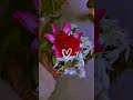14 January 2025 #youtubeshorts #flowers #love