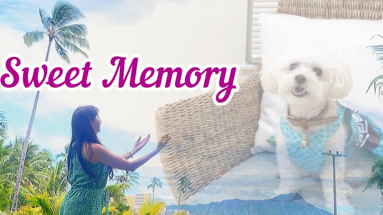 [踊ってみた] Sweet Memory / Choreography by Mana