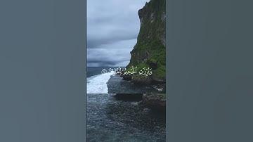 سورة الشعراء 🎙️📖 بصوت ياسر الدوسري 🕊️🌿 #ياسر_الدوسري #سورة_الشعراء #قرآن