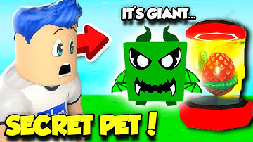 I Hatched A SECRET DRAGON PET In Ninja Clicker Simulator!! *INSANELY RARE* (Roblox)