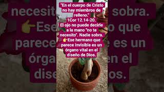#ánimo #devocionaldehoy #palabradeDios #devocionaldiario #promesadeDios#sermóncorto#devocionales