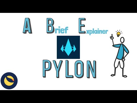 Video: Wat Is 'n Pyloon?