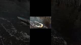Vintage Traxxas Villain RC boat with new OneRepublic song. 1st test with 2 new motors and ESC