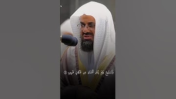 سورة ق سعود الشريم | #قرآن #سعود_الشريم
