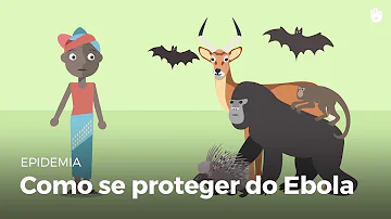 Qual a origem do vírus Ebola?