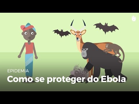 Vídeo: Experiências De Trabalhadores Da Saúde No Enfrentamento Da Epidemia De Ebola No Sistema De Saúde Da Serra Leoa: Um Estudo Qualitativo