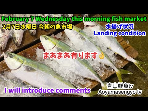 Can you swim like a fish. Fish can t be. Can`t sing. животные на английском 2 класс. I can swim like a fish.