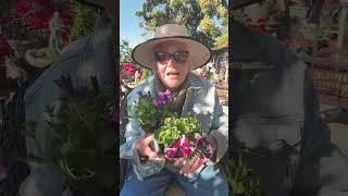 Plant a Garden…Enjoy the Anticipation!