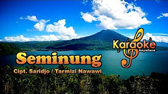 Lagu Lampung | Seminung No Vocal (Karaoke)  - Durasi: 4:43. 