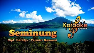 Lagu Lampung | Seminung No Vocal (Karaoke)