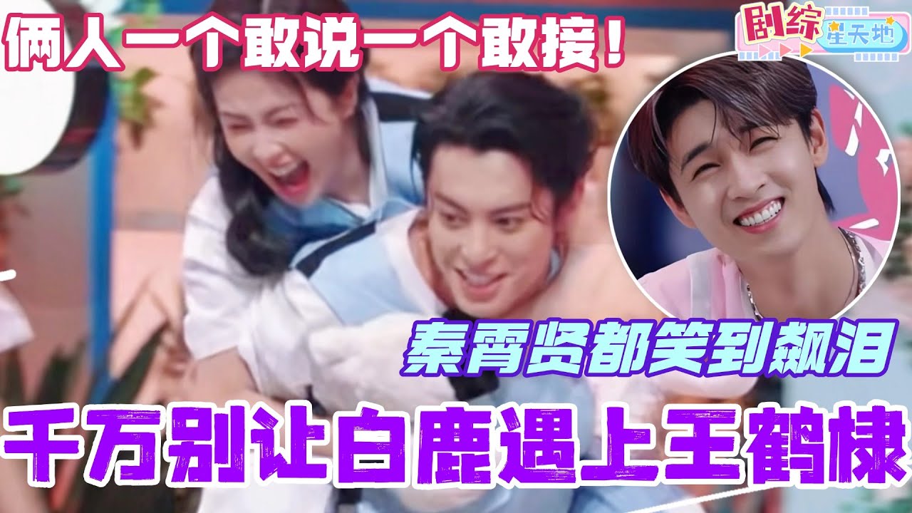 千万别让白鹿遇上王鹤棣！俩人一个敢说一个敢接！杨迪秦霄贤都笑到飙泪！#王鹤棣 #你好星期六 #综艺 #娱乐 #cdrama #搞笑 #白鹿