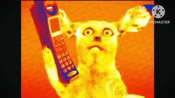 Singing cats in robot flip 