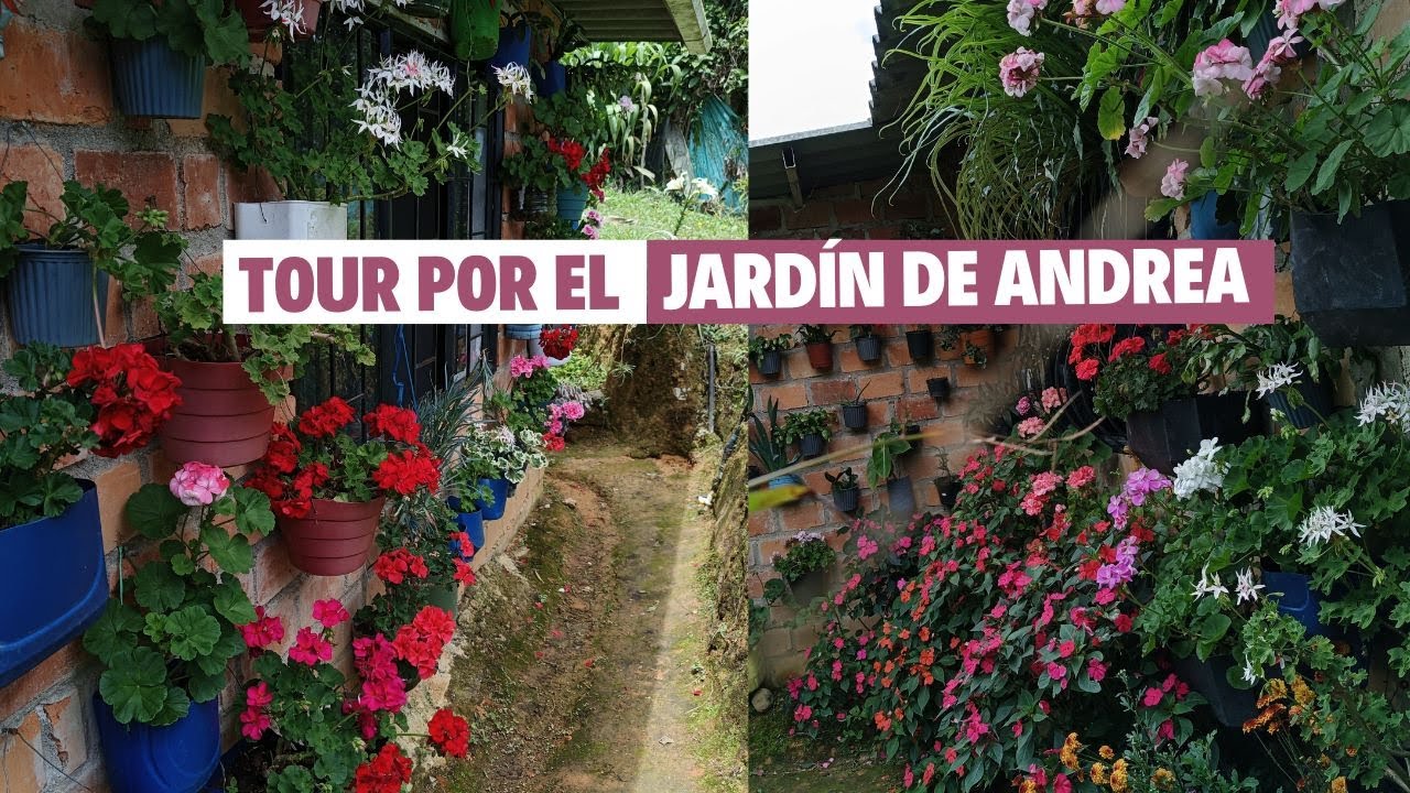 TOUR por el jardín de Andrea, muchas flores de pendientes de la reina y geranios  |  Jardín Diaz
