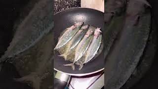 College Life Of My Daughter