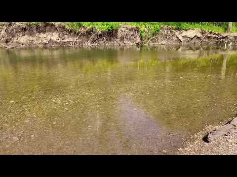 Video Ground Muleshoe at the Little Niangua River DONE