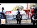 Bandido de Amores - Joan Sebastian - En vivo